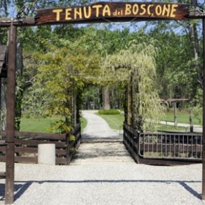 Tenuta-del-Boscone-290x290
